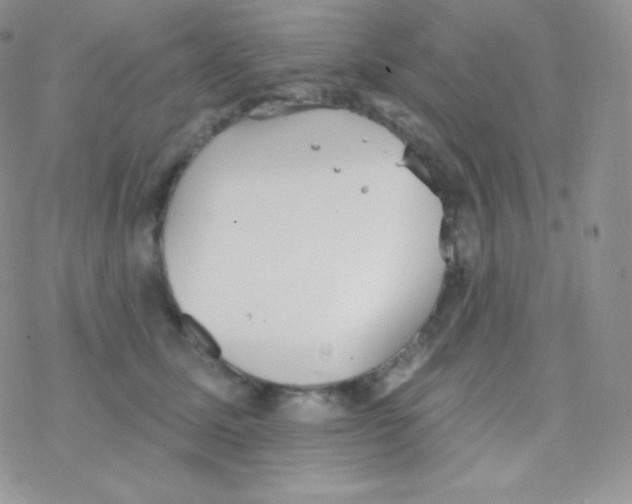 X0000077370611200611171951