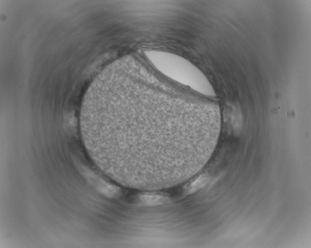 X0000077370614200611171950