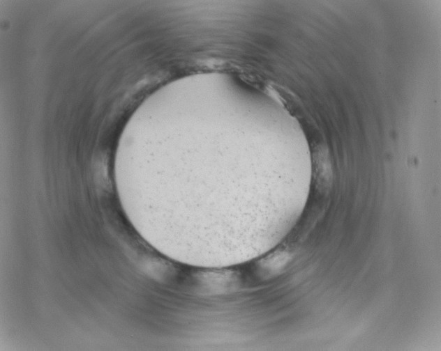 X0000077370615200611171950