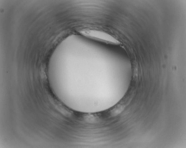 X0000077370616200611171950