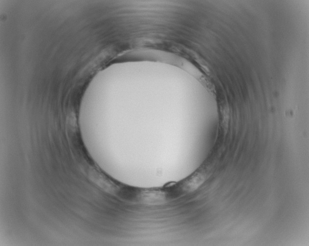 X0000077370617200611171950