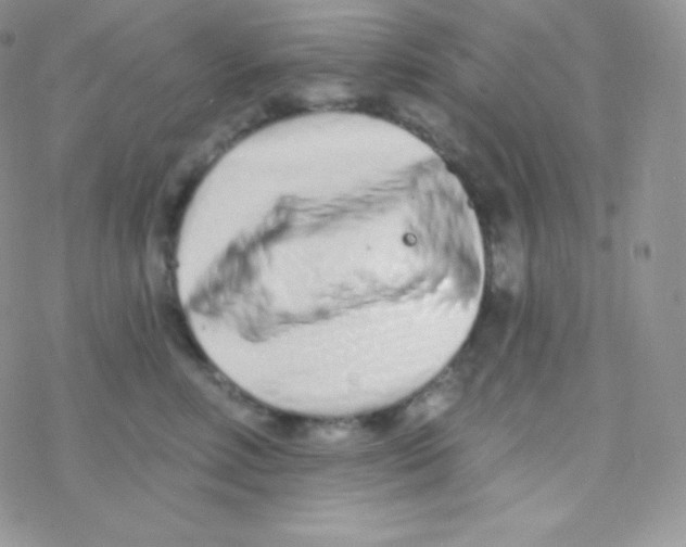 X0000077370618200611171950