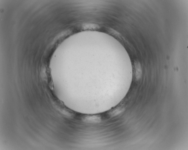 X0000077370619200611171950