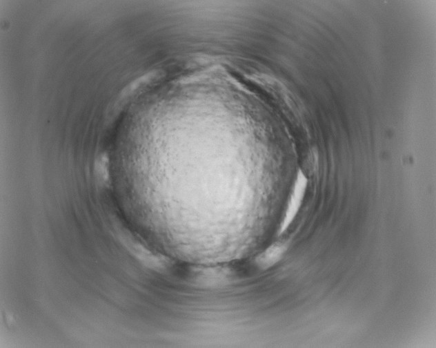 X0000077370621200611171950