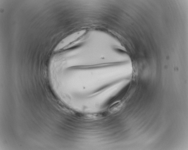 X0000077370623200611171950