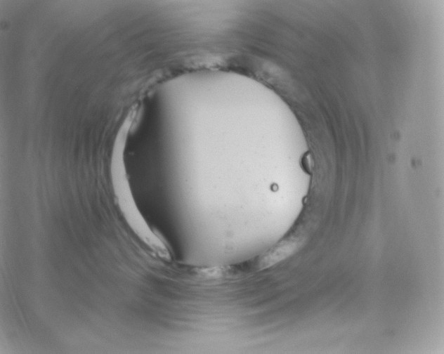 X0000077370624200611171950