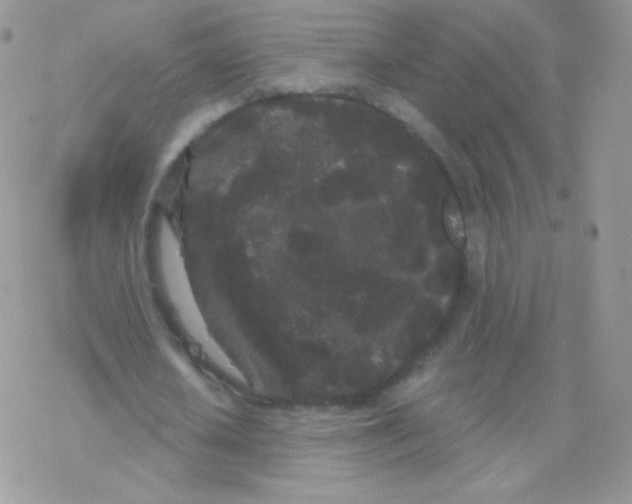 X0000077370626200611171950