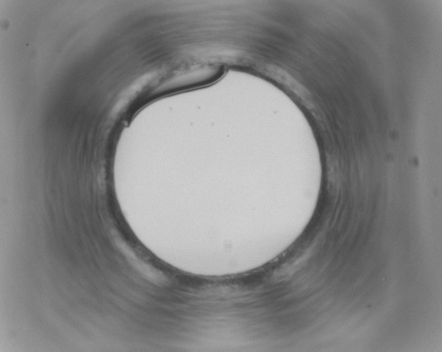 X0000077370629200611171950