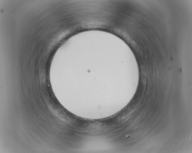 X0000077370631200611171950