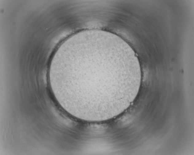 X0000077370632200611171950