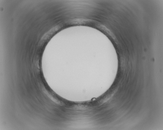 X0000077370633200611171950