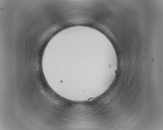 X0000077370635200611171950