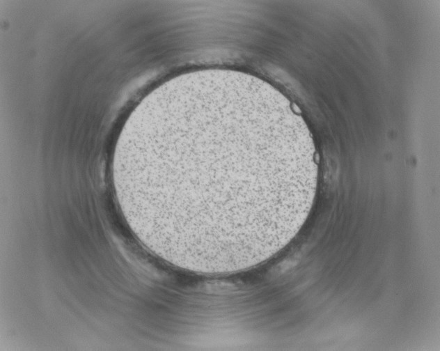 X0000077370636200611171950