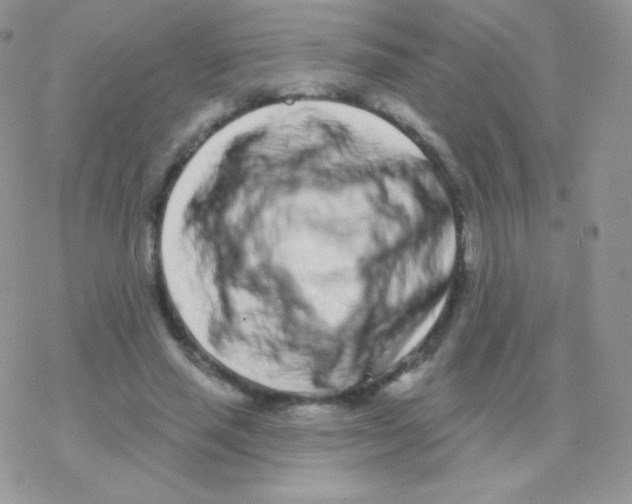 X0000077370637200611171950