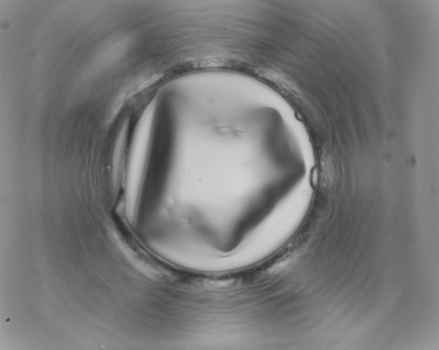 X0000077370638200611171950