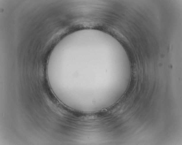 X0000077370639200611171950