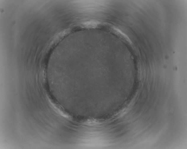 X0000077370641200611171950