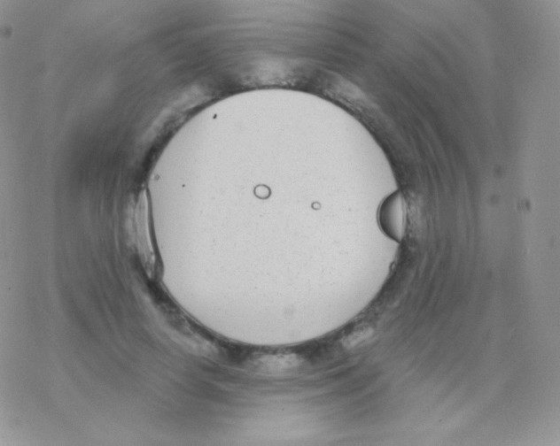 X0000077370642200611171950