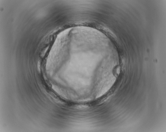 X0000077370644200611171950