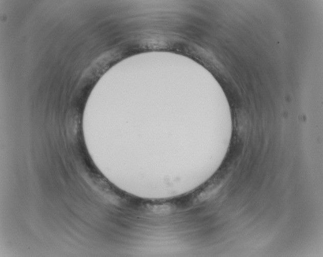 X0000077370645200611171950