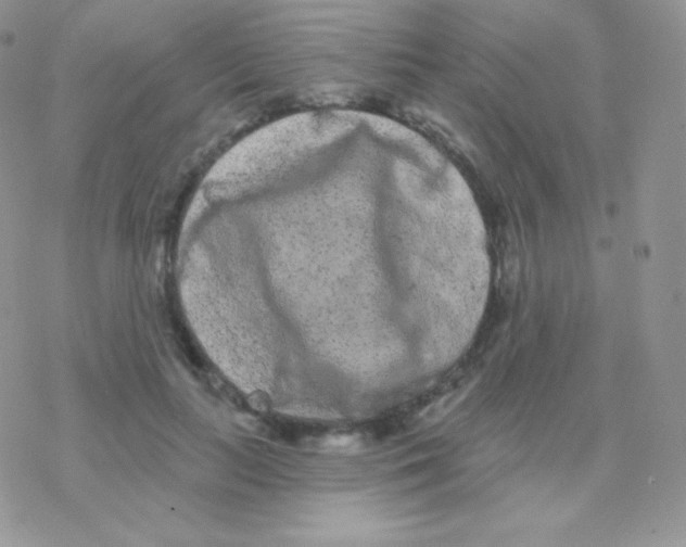 X0000077370647200611171950