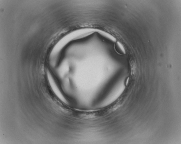 X0000077370648200611171950