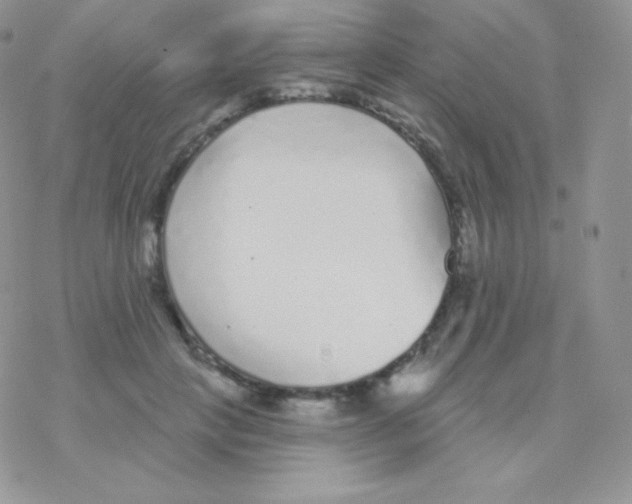 X0000077370649200611171950