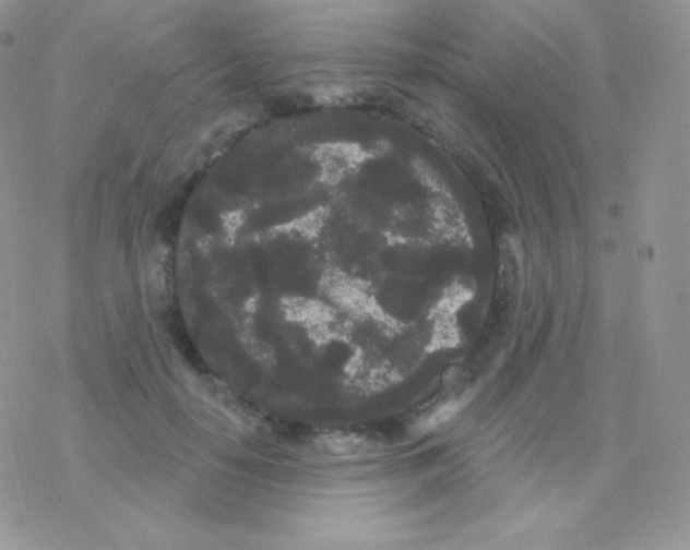 X0000077370650200611171950