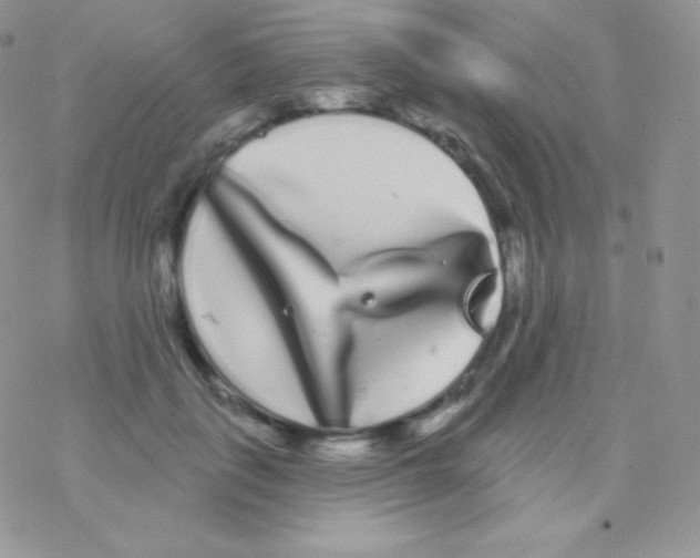 X0000077370651200611171950