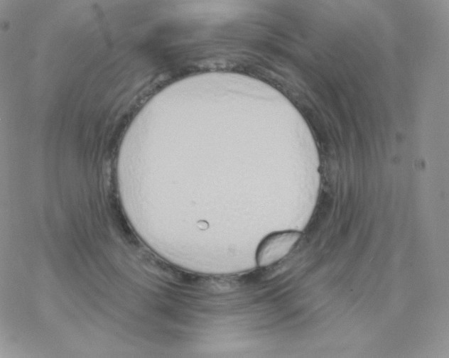 X0000077370652200611171950