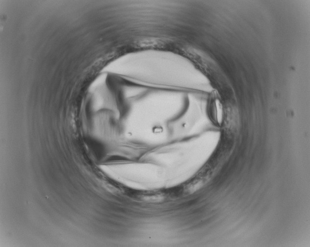 X0000077370653200611171950