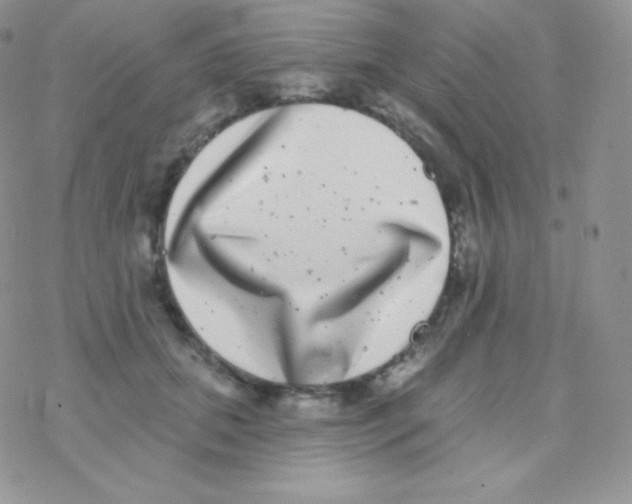 X0000077370655200611171950