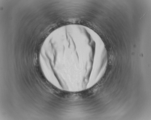 X0000077370656200611171950