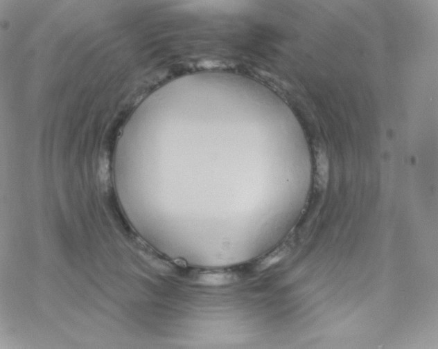 X0000077370657200611171950