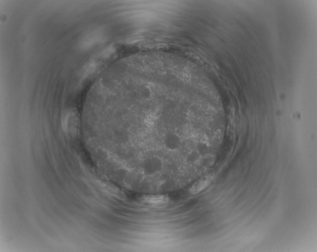 X0000077370659200611171950