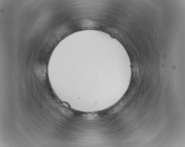 X0000077370660200611171950