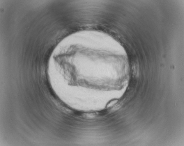 X0000077370662200611171950