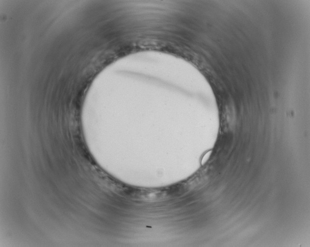 X0000077370663200611171950