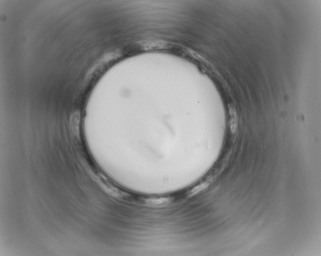 X0000077370664200611171950