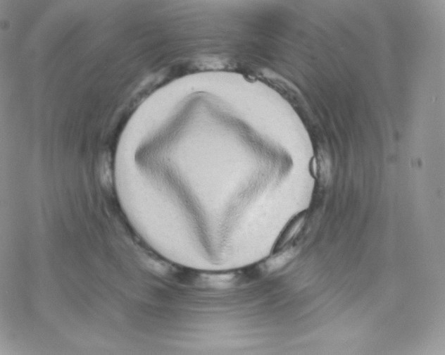 X0000077370665200611171950