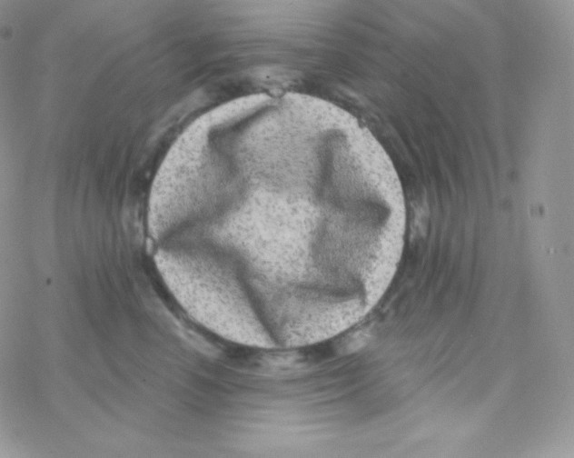 X0000077370666200611171950