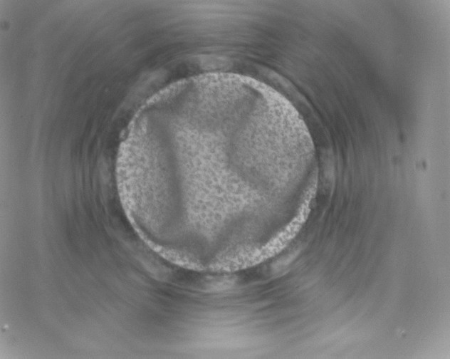 X0000077370667200611171950