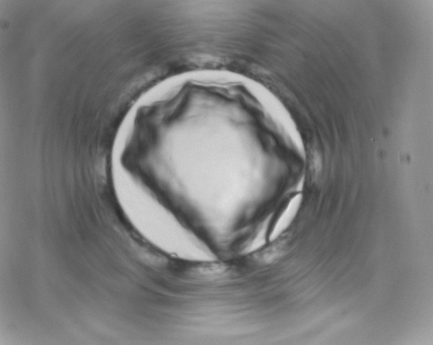 X0000077370668200611171950