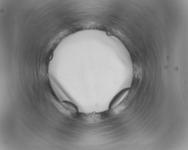 X0000077370670200611171950