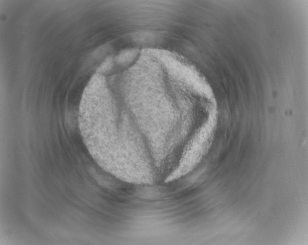 X0000077370671200611171950