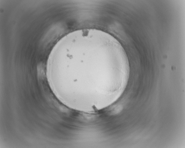 X0000077370672200611171950