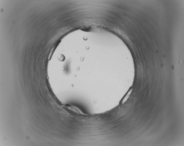 X0000077370673200611171950