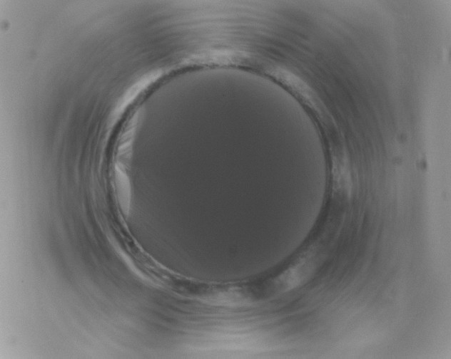 X0000077370674200611171949