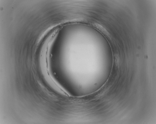 X0000077370676200611171949