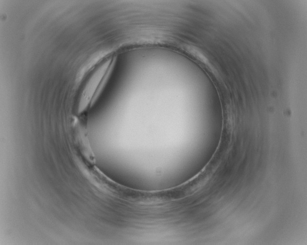 X0000077370677200611171949